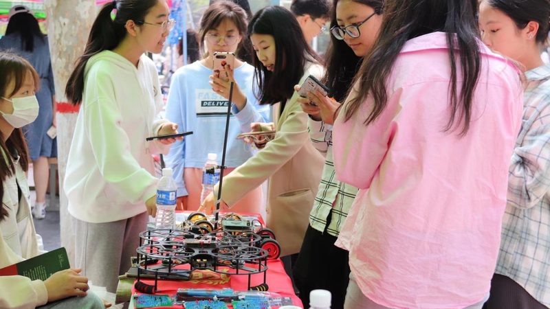 免费与收费机器学习平台：揭秘背后的差异与选择要点